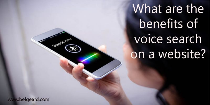Add Voice Search in Your WordPress
