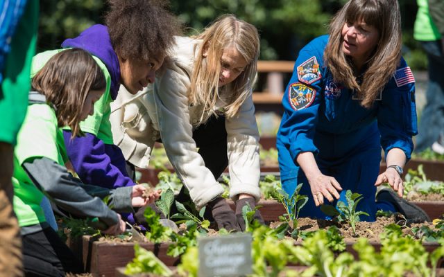 Benefits of Gardening for Students