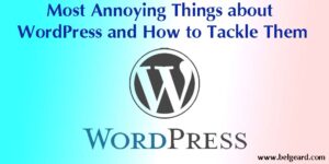 Most Annoying Things about WordPress and How to Tackle Them