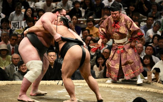 Sumo wrestling