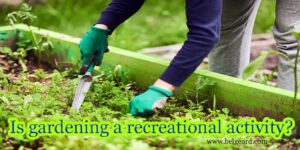Is gardening a recreational activity?