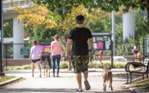 Why pets should be allowed in public places?