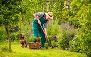 Aerobic Gardening