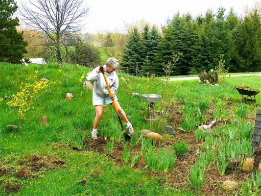 Gardening Tips During Pregnancy