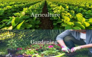 Gardening and Agriculture