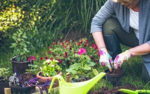 Is gardening becoming more popular 2021?