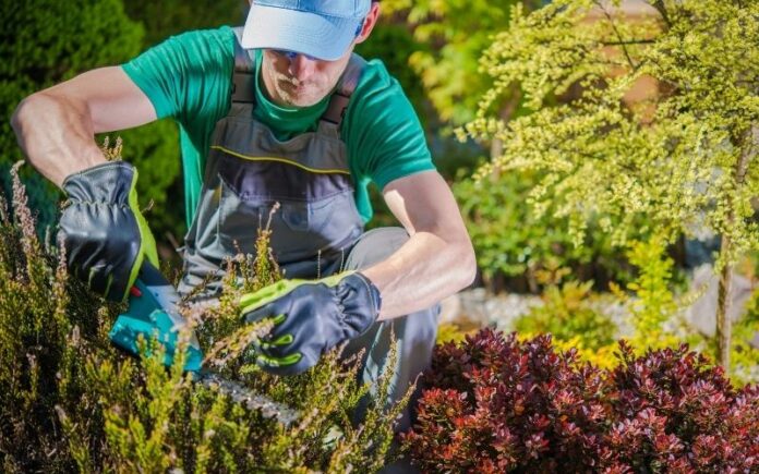 Is Gardening bad for the environment?