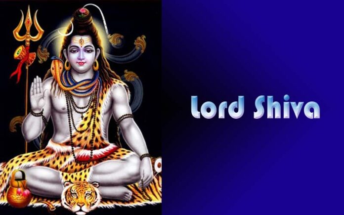 Lord Shiva wear tiger skin