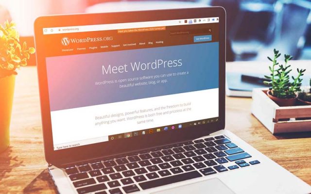 download wordpress website builder