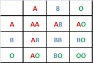 different blood types