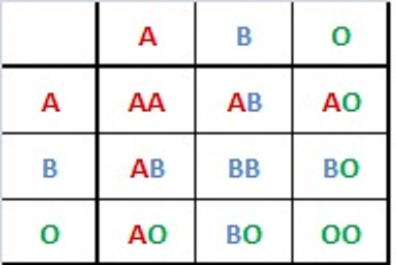 different blood types