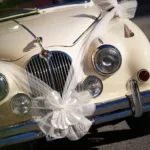 Wedding Cars Rental – Luxury and Exotic Cars for Your Big Day