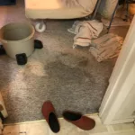 Carpet Restoration After A Flood: 5 Steps For Success