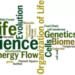 Strategies That Help Life Science Teams Operate More Efficiently